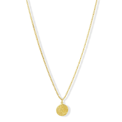 Anvi Gold Coin Short Necklace  image 0